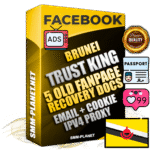 SUPER TRUST KING Brunei Facebook Ad Accounts - Added 5 aged Facebook Fan Pages