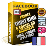 SUPER TRUST KING French Facebook Ad Accounts - 5 Ad Accounts on King Profile