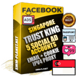 SUPER TRUST KING Singapore Facebook Ad Accounts - 5 Ad Accounts on King Profile