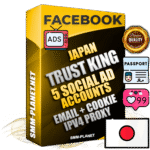 SUPER TRUST KING Japanese Facebook Ad Accounts - 5 Ad Accounts on King Profile