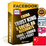 SUPER TRUST KING Chinese Facebook Ad Accounts - 5 Ad Accounts on King Profile