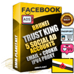 SUPER TRUST KING Brunei Facebook Ad Accounts - 5 Ad Accounts on King Profile