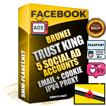 SUPER TRUST KING Brunei Facebook Ad Accounts - 5 Ad Accounts on King Profile