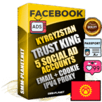 SUPER TRUST KING Kyrgyz Facebook Ad Accounts - 5 Ad Accounts on King Profile