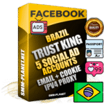 SUPER TRUST KING Brazilian Facebook Ad Accounts - 5 Ad Accounts on King Profile