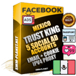 SUPER TRUST KING Mexican Facebook Ad Accounts - 5 Ad Accounts on King Profile