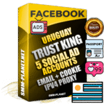 SUPER TRUST KING Uruguayan Facebook Ad Accounts - 5 Ad Accounts on King Profile