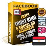 SUPER TRUST KING Egyptian Facebook Ad Accounts - 5 Ad Accounts on King Profile