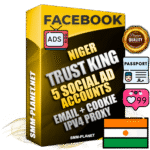 SUPER TRUST KING Nigerien Facebook Ad Accounts - 5 Ad Accounts on King Profile