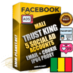 SUPER TRUST KING Malian Facebook Ad Accounts - 5 Ad Accounts on King Profile