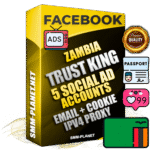 SUPER TRUST KING Zambian Facebook Ad Accounts - 5 Ad Accounts on King Profile