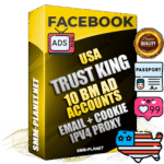 SUPER TRUST KING American Facebook Ad Accounts - 10 BM Ad Accounts