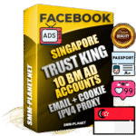 SUPER TRUST KING Singapore Facebook Ad Accounts - 10 BM Ad Accounts