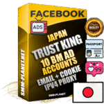 SUPER TRUST KING Japanese Facebook Ad Accounts - 10 BM Ad Accounts