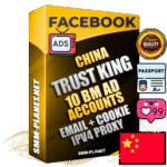 SUPER TRUST KING Chinese Facebook Ad Accounts - 10 BM Ad Accounts
