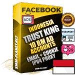 SUPER TRUST KING Indonesian Facebook Ad Accounts - 10 BM Ad Accounts
