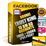 SUPER TRUST KING Brunei Facebook Ad Accounts - 10 BM Ad Accounts
