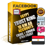 SUPER TRUST KING Egyptian Facebook Ad Accounts - 10 BM Ad Accounts