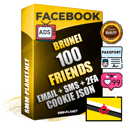 Elite Brunei PREMIUM Handcrafted Facebook Accounts - 100 Authentic Live Friends with High Trust for Ads