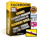 Prime Brunei Facebook Ad Accounts with Top-Tier Pre-Heated Business Manager