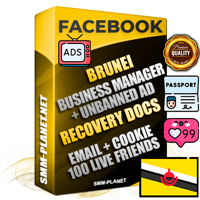 Prime Brunei Facebook Ad Accounts with Top-Tier Pre-Heated Business Manager