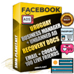 Prime Uruguayan Facebook Ad Accounts with Top-Tier Pre-Heated Business Manager