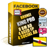 SUPER TRUST KING PRO Brunei Facebook Ad Accounts - 8 BM Ad Accounts + 4 Ad Accounts on King Profile + 4 aged Fan Pages with huge organic reach and active subscribers